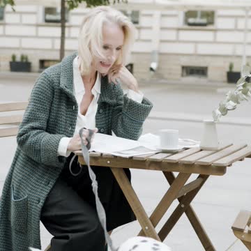 The Dalmatian is a very popular dog, known around the world and particularly in France