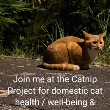 5am Prema, interspecies communication 💕