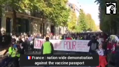 Lille, France: Vaccine passport protests Oct. 16, 2021