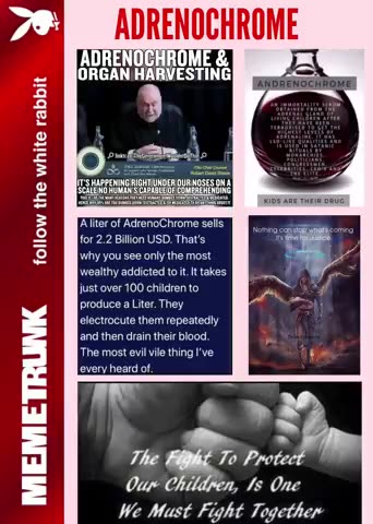 ADRENOCHROME and ORGAN HARVESTING