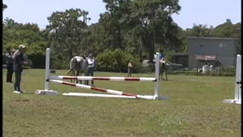 Horseback riding in Florida