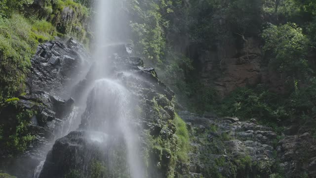 Waterfall view at forest