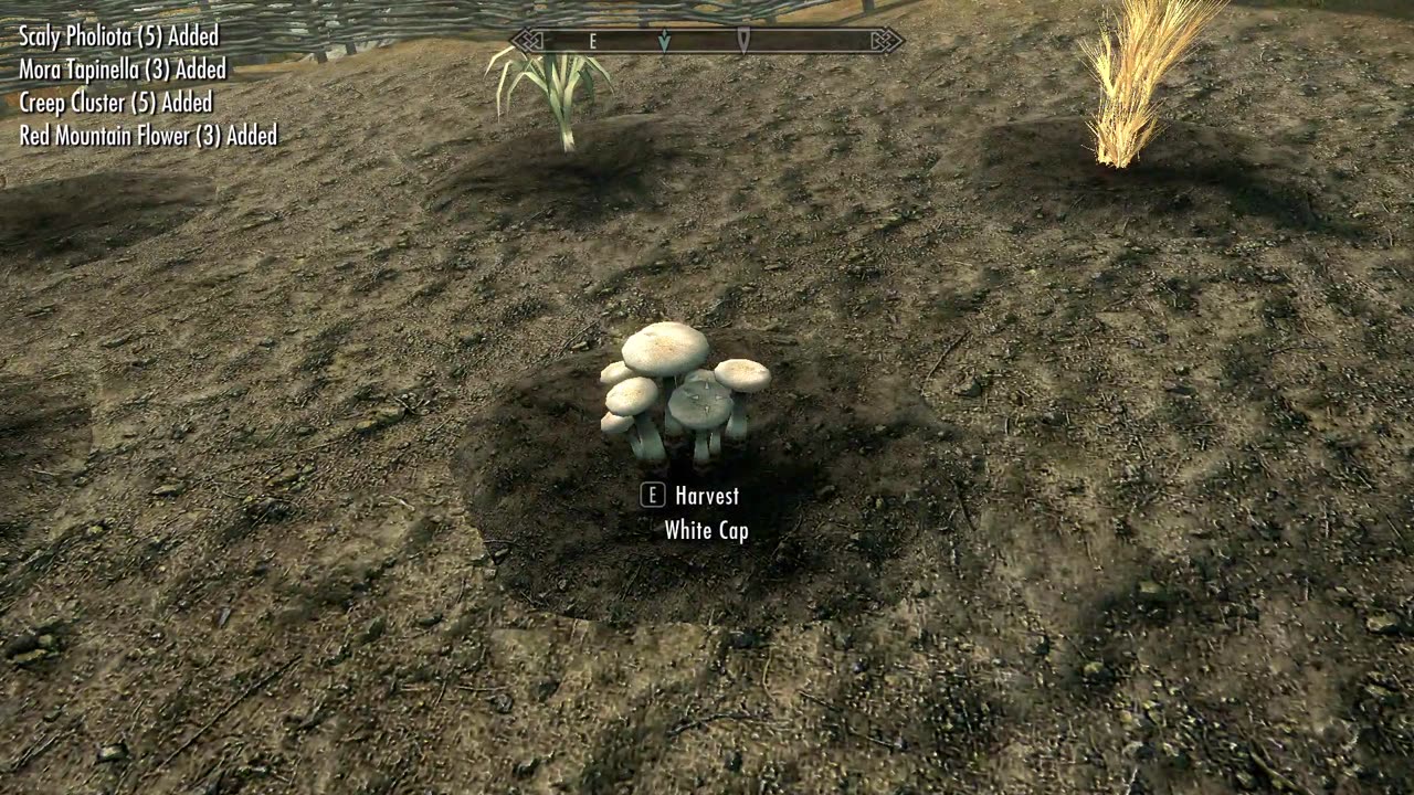 Skyrim Special Edition Sarethi farm and returning ingreidents to ingun black briar