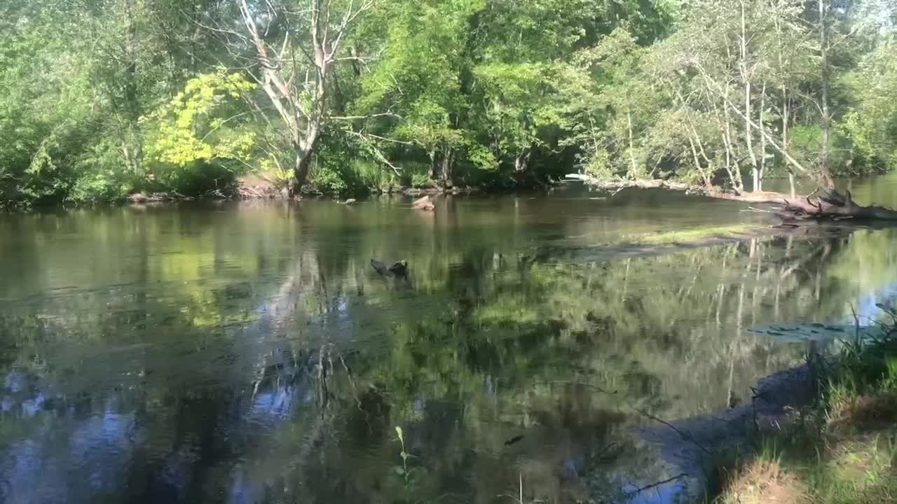 A walk along the river.