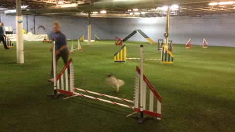 Tanner---Master Standard--Q