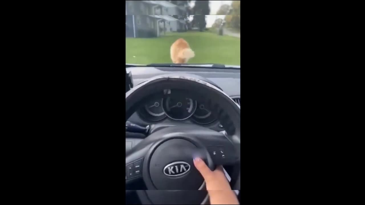 hilarious moments you can't miss