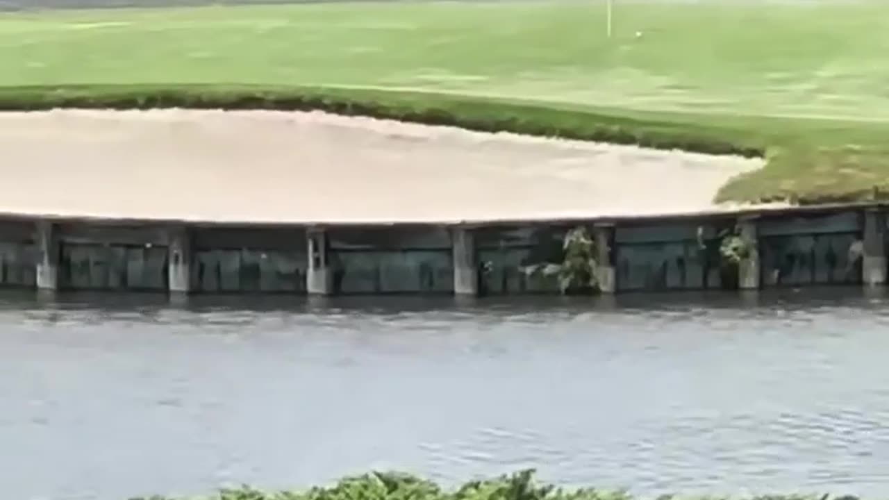 Donald trump in white house ⛳️🏌️‍♂️