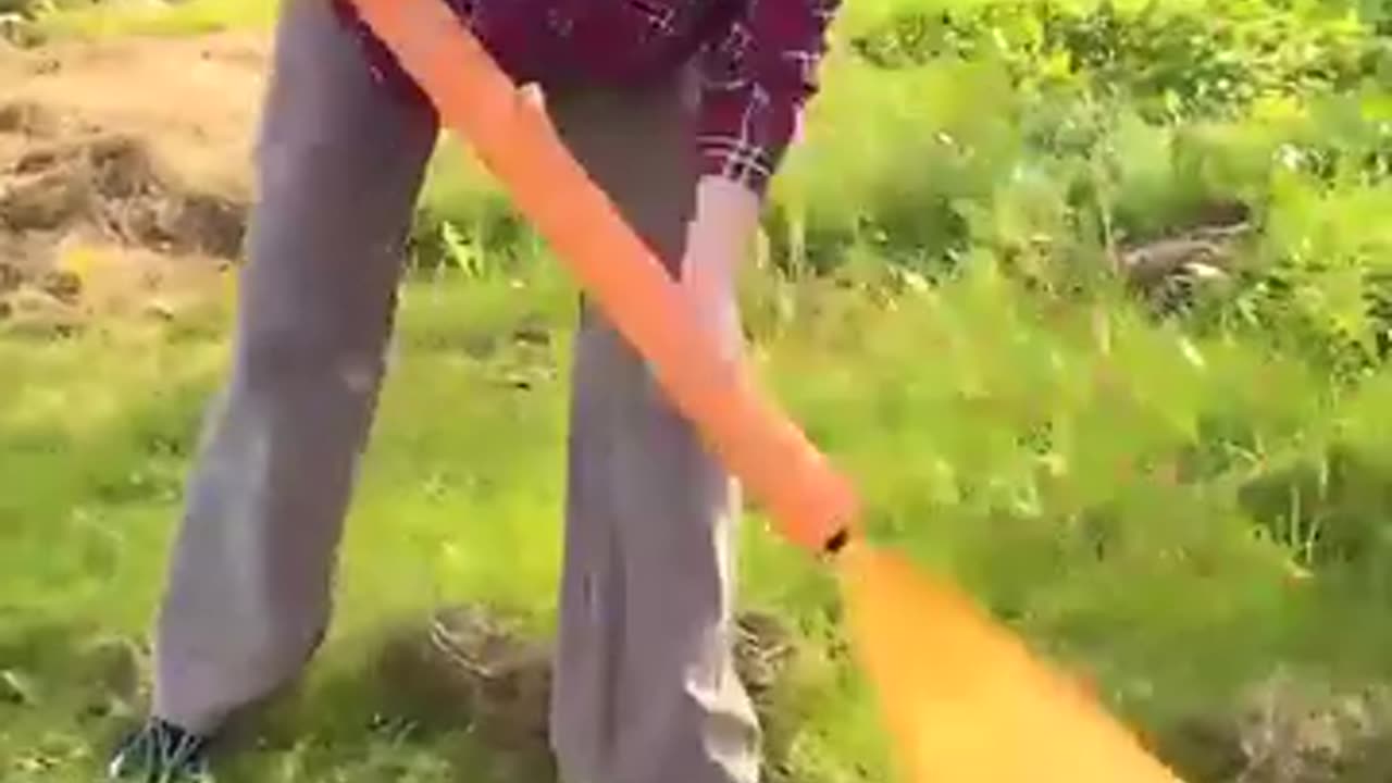 Well kept gardening secrets to improve the yard!