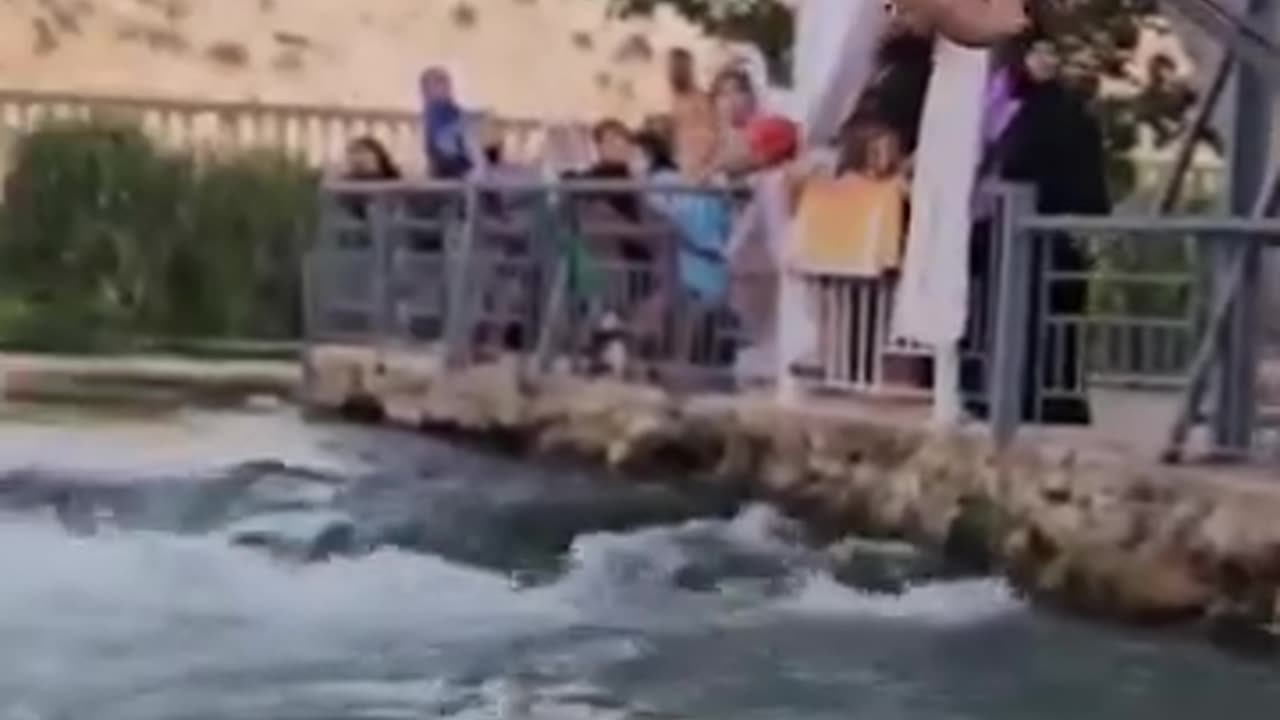 Bro I can feel his pain
