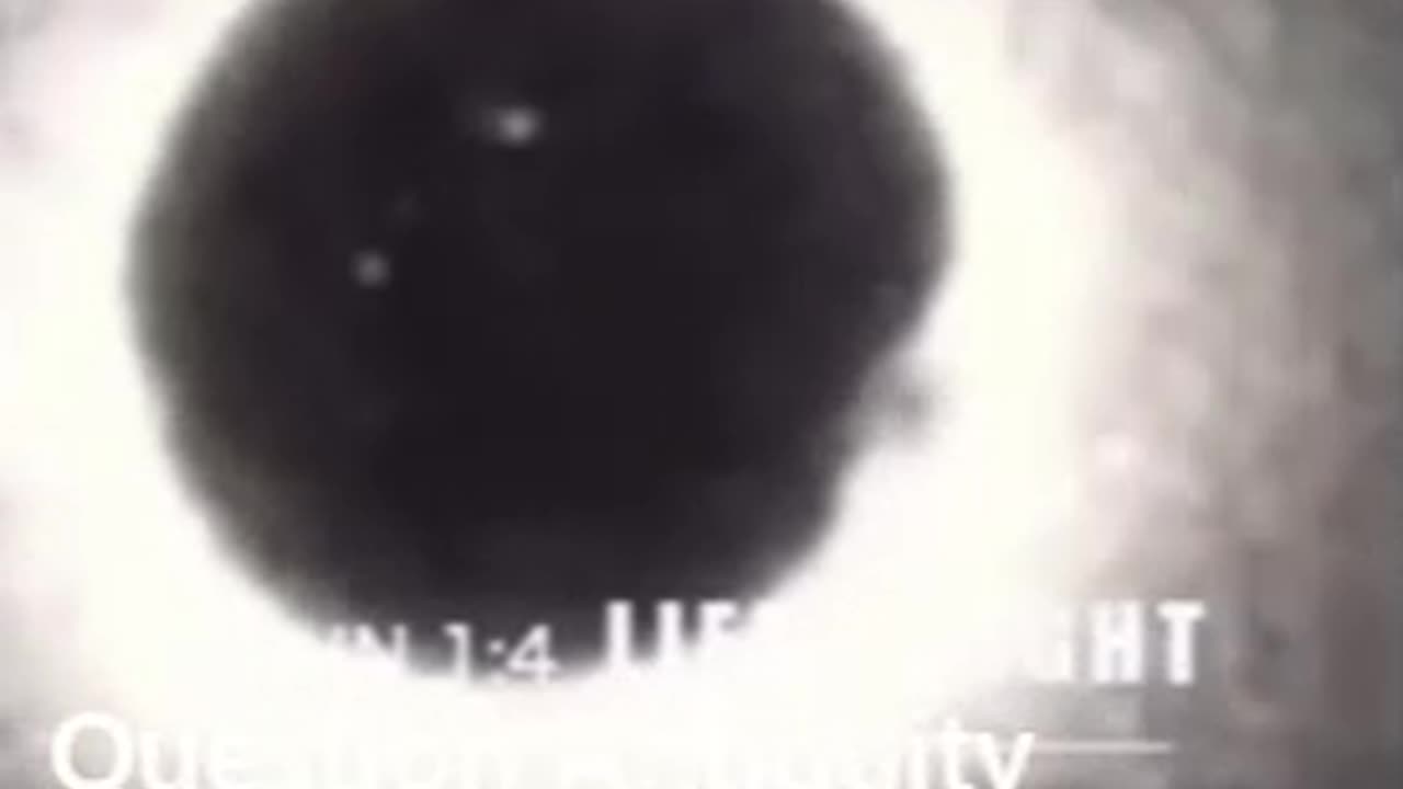 The Sudden Burst of Light Upon Conception