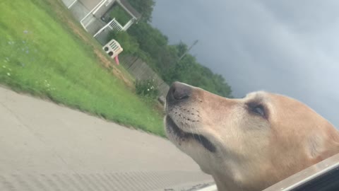Wanna go for a ride?