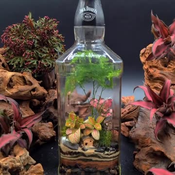 created this beautiful and enchanting Jack Daniel's liquor bottle terrarium