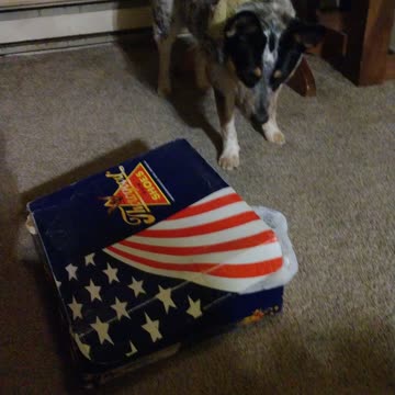 Can i return these boots?