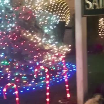 Christmas decorations side of St. Finbar Brooklyn NYC