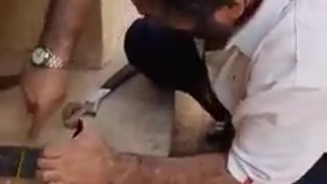 Cat carrying