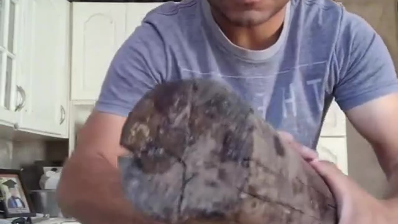 Setembro está Chegando....