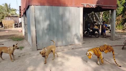 Fake Tiger Prank Dog Prank