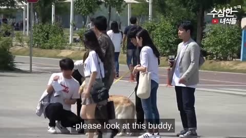 Best Korean Pranks with Great Humor