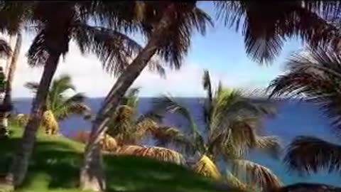 CUP!D$ ep 366 382.mp4