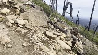 Very Rocky & Steep Section of Black Butte Trail – Deschutes National Forest – Central Oregon – 4K