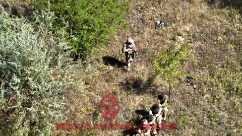 Footage of mass surrender of Ukrainian soldiers to Russian troops in Kursk Oblast