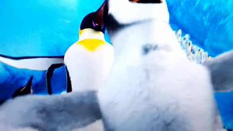 FILM HAPPY FEET