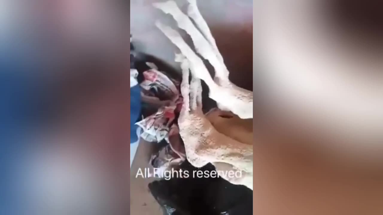 American Forensic Team release video of the 3 new non-humans discovered near the Nazca Lines.