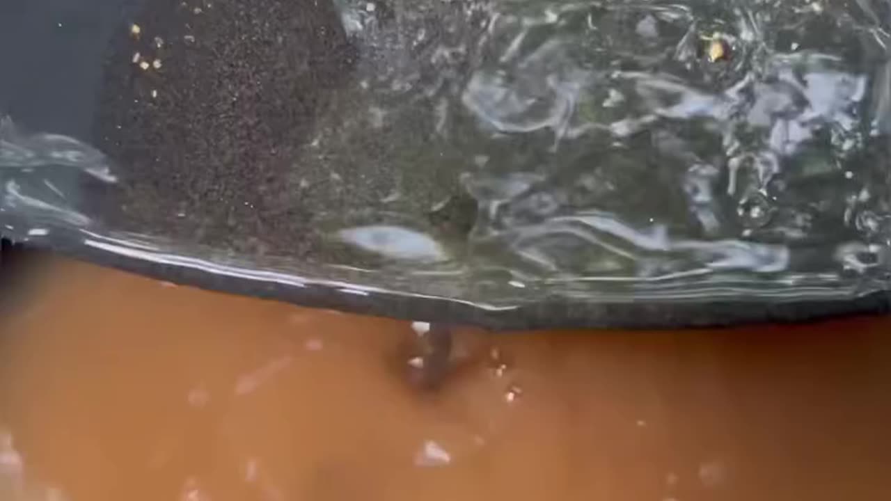 Boy discovers a kg's of gold beneath a tree’s roots.