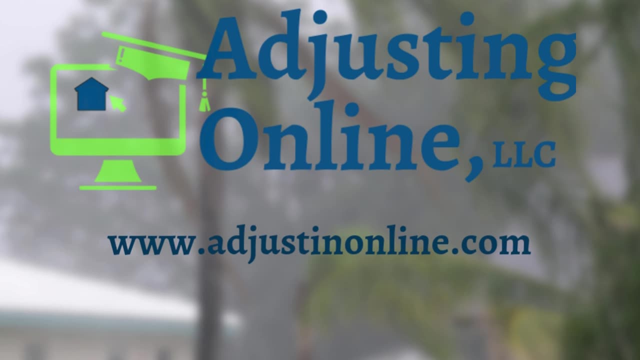 Adjusting Online