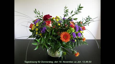Tageslosung für Donnerstag, den 18. November, zu Joh. 12,46-50