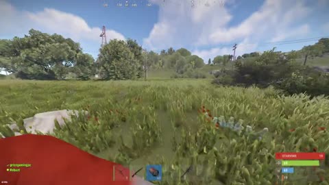 Rust (Vanilla server)