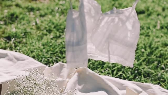 /hanging-crop-top-on-a-clothesline