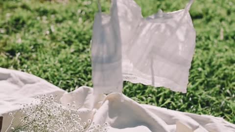 /hanging-crop-top-on-a-clothesline