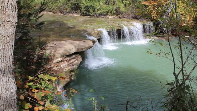 Albert Falls, Douglas, WV.