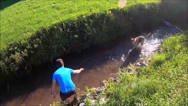 MAN PLAYING WITH THE DOG