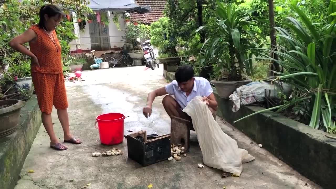 Catching Mother Cobra and her Cubs in the Garden - Snake Catchers