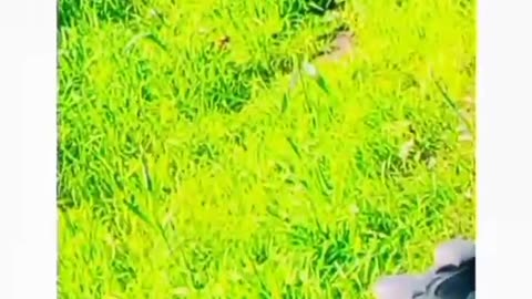 Nature beauty
