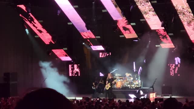 Alice In Chains "Rooster"