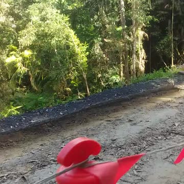 13.9.2024 Barron Falls Road