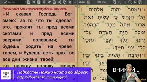 Вникай!.. 008: Быт. 3:9-16 Первая в истории человечества коуч-сессия. Провалена!