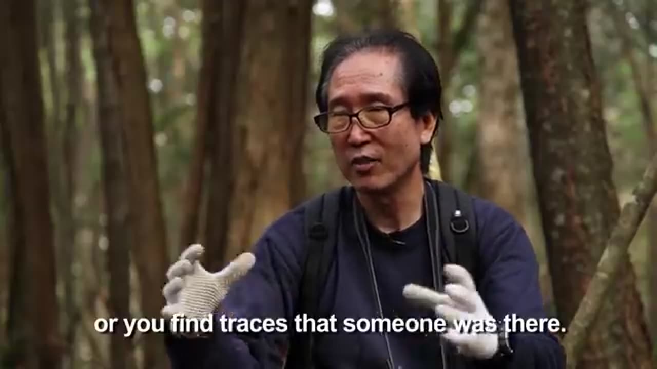 truth about Japan suicidal forest