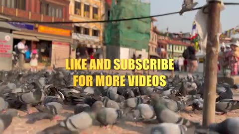 My First Vlog | Nepal Tour