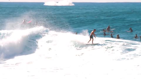 Whale Celebrates Perfect Wave at Banzai Pipeline