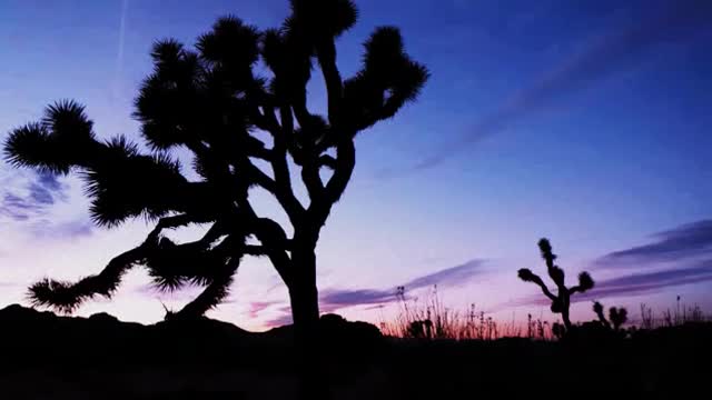 Dire Straits - Once Upon a Time in The West