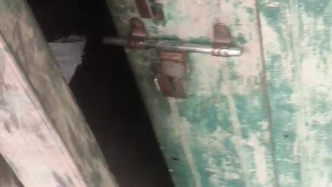 I meet kitty and kitty's mom. #animal lover