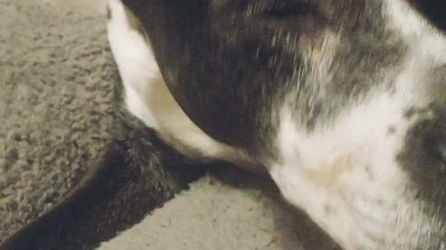 Gigi Questions Her Reality