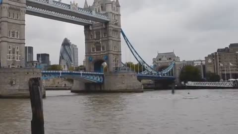 You won't believe this, watch and see
