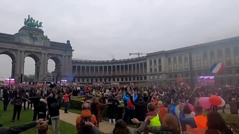 Attention Darmanin images choquantes au parc du cinquantenaire à Bruxelles