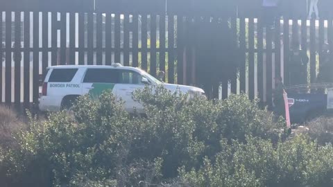 San Diego, California is wild…