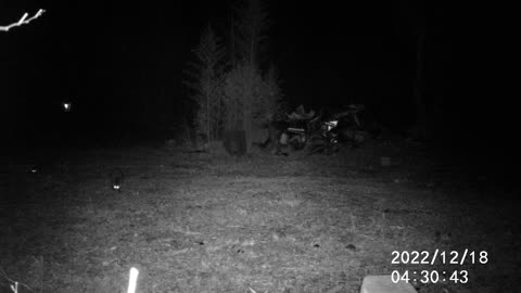 12/18/22 COON